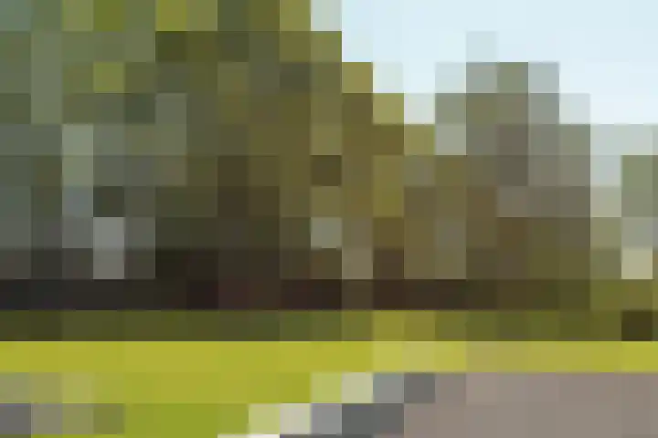 Miedleane 8 Minnertsga thumbnail 43