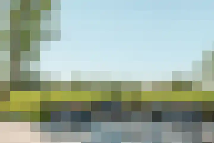 Miedleane 8 Minnertsga thumbnail 44