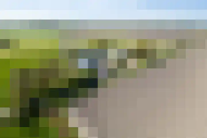 Miedleane 8 Minnertsga thumbnail 46