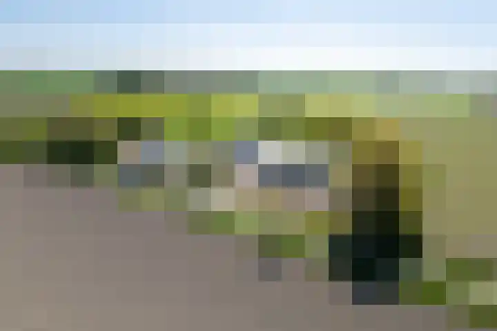 Miedleane 8 Minnertsga thumbnail 47