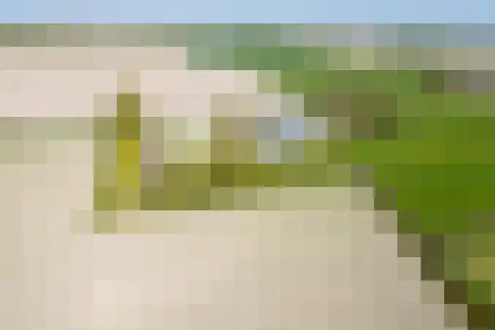Miedleane 8 Minnertsga thumbnail 48