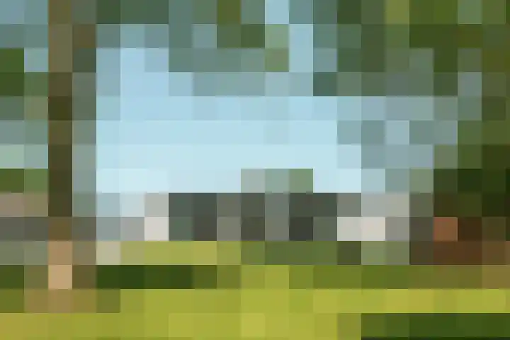 Miedleane 8 Minnertsga thumbnail 5