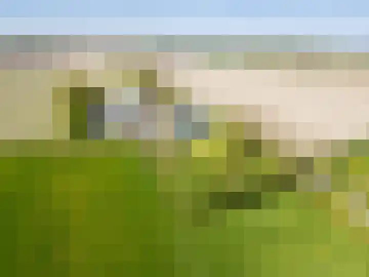 Miedleane 8 Minnertsga thumbnail 55