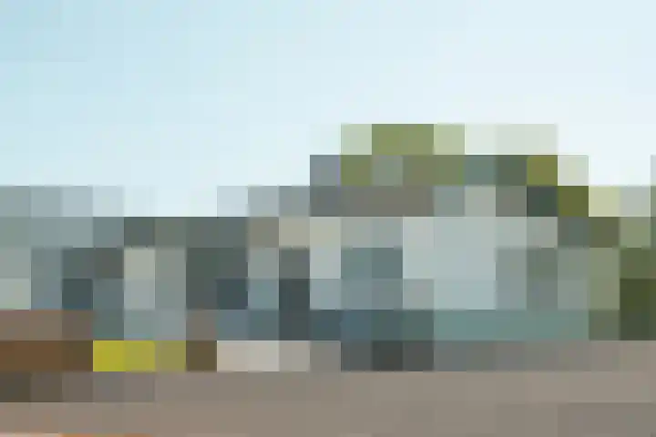 Miedleane 8 Minnertsga thumbnail 6
