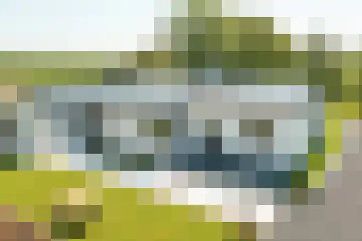 Miedleane 8 Minnertsga thumbnail 7