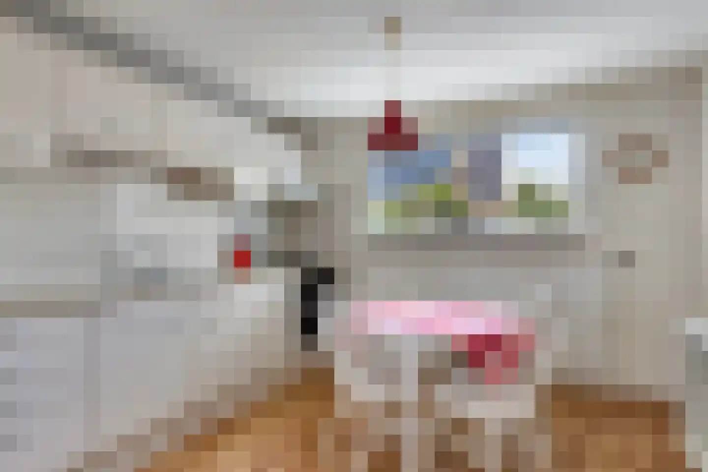 Miedloane 2 De Westereen thumbnail 10