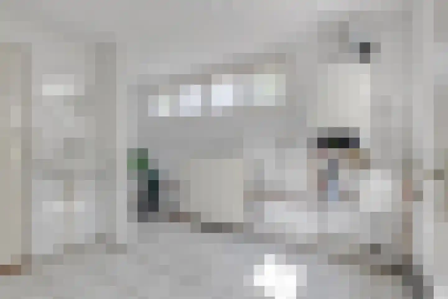 Miedloane 2 De Westereen thumbnail 13