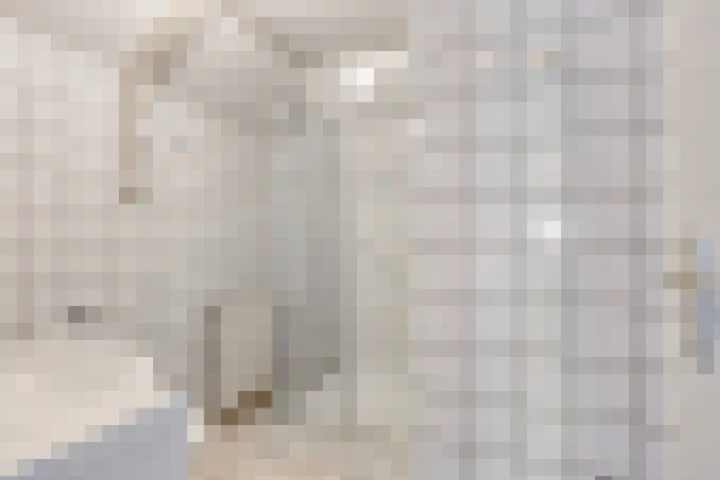 Miedloane 2 De Westereen thumbnail 22