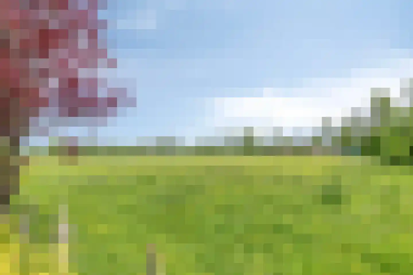 Miedloane 2 De Westereen thumbnail 27