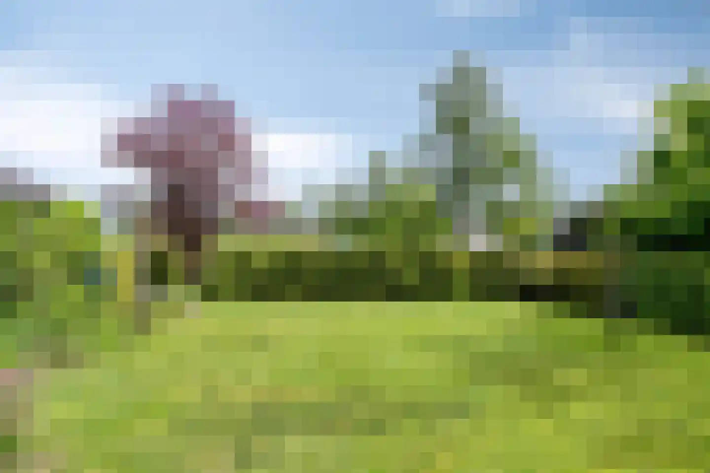 Miedloane 2 De Westereen thumbnail 28
