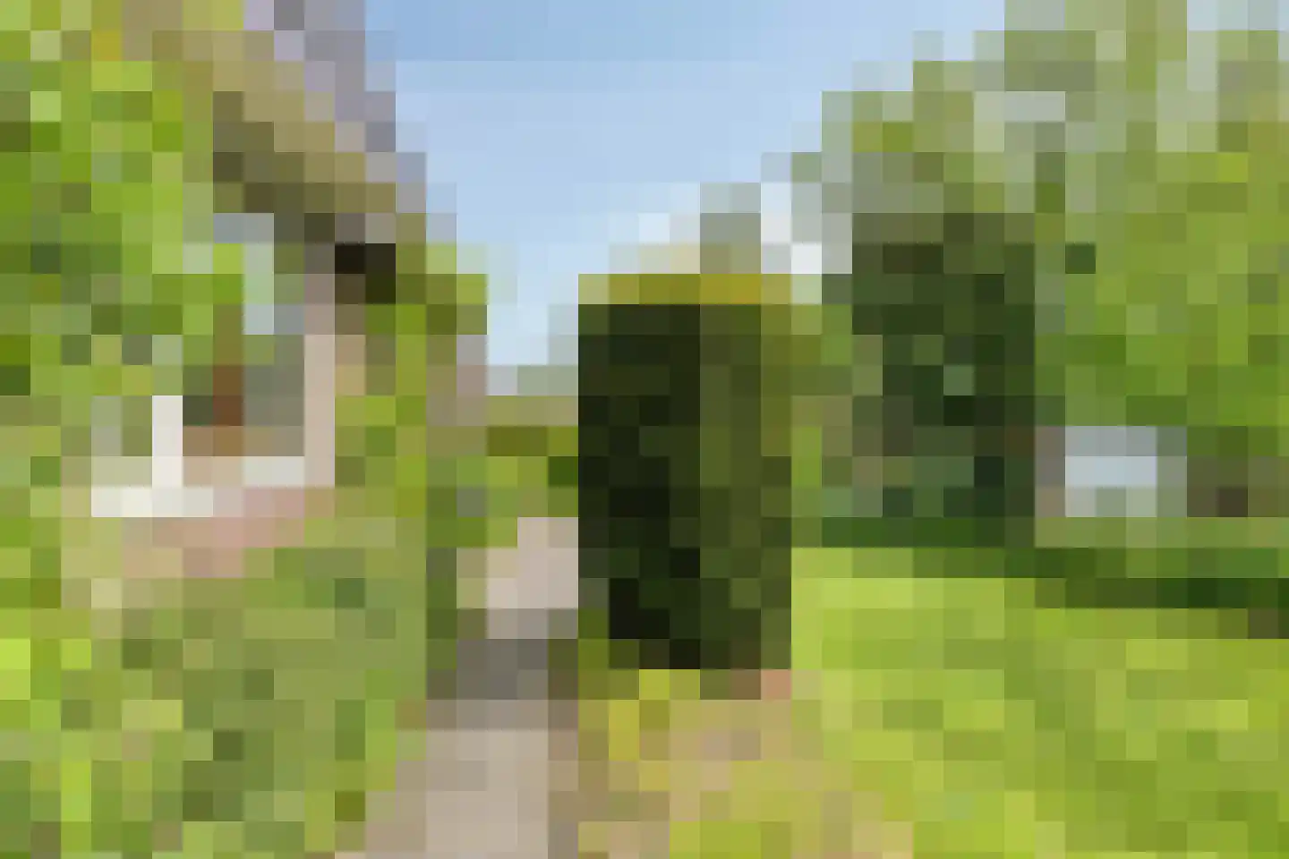 Miedloane 2 De Westereen thumbnail 29