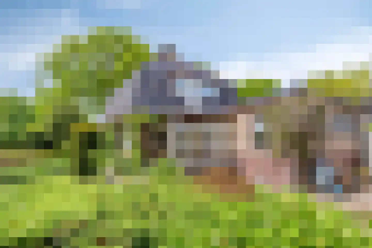Miedloane 2 De Westereen thumbnail 30
