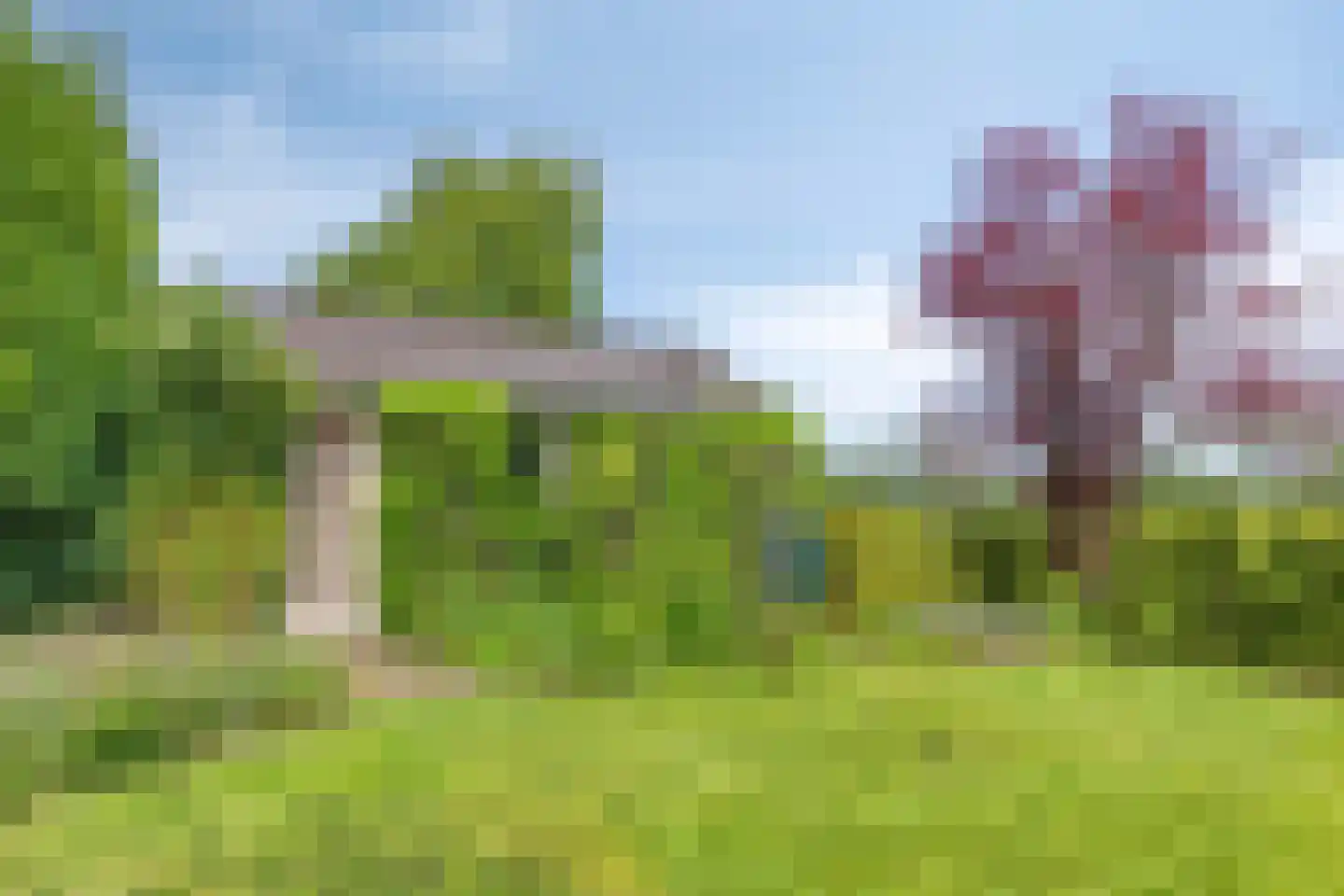Miedloane 2 De Westereen thumbnail 31