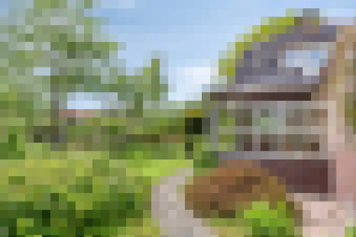 Miedloane 2 De Westereen thumbnail 32