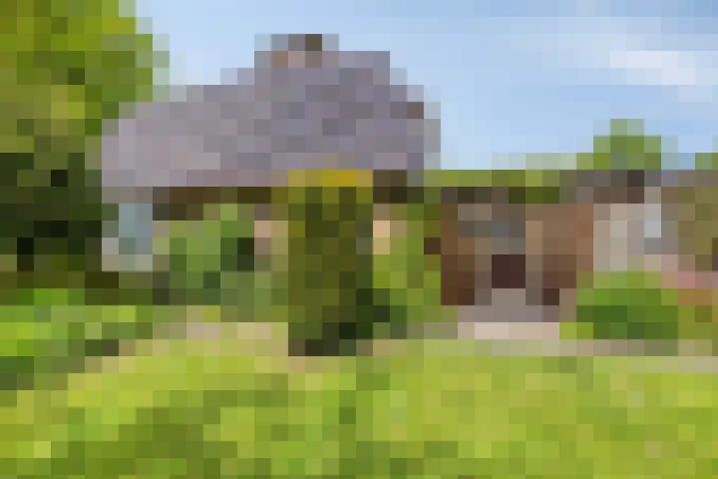 Miedloane 2 De Westereen thumbnail 33