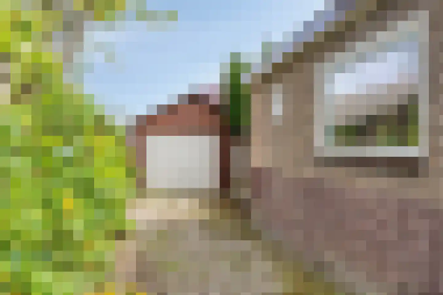 Miedloane 2 De Westereen thumbnail 35