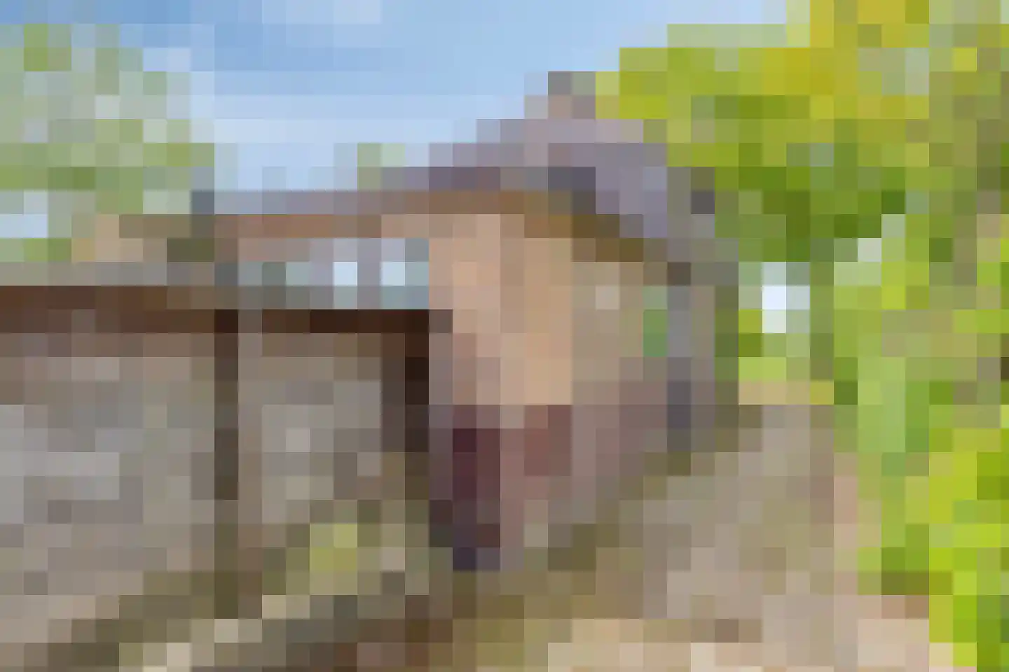 Miedloane 2 De Westereen thumbnail 37