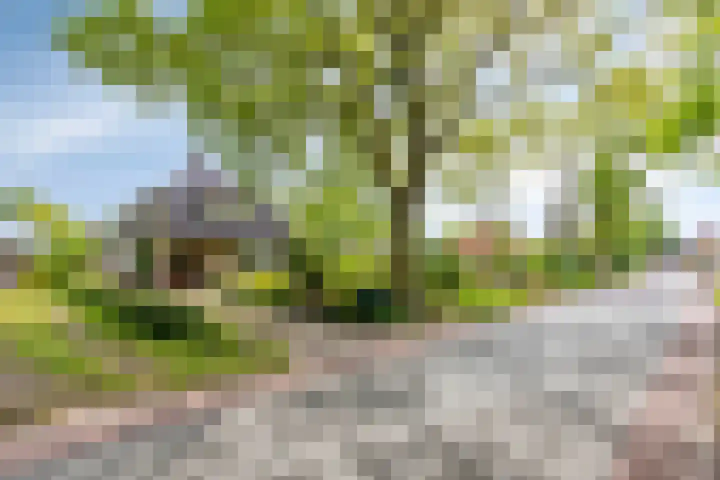 Miedloane 2 De Westereen thumbnail 38
