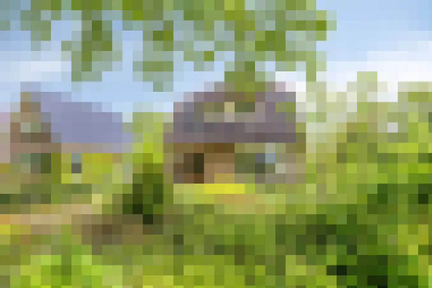 Miedloane 2 De Westereen thumbnail 41
