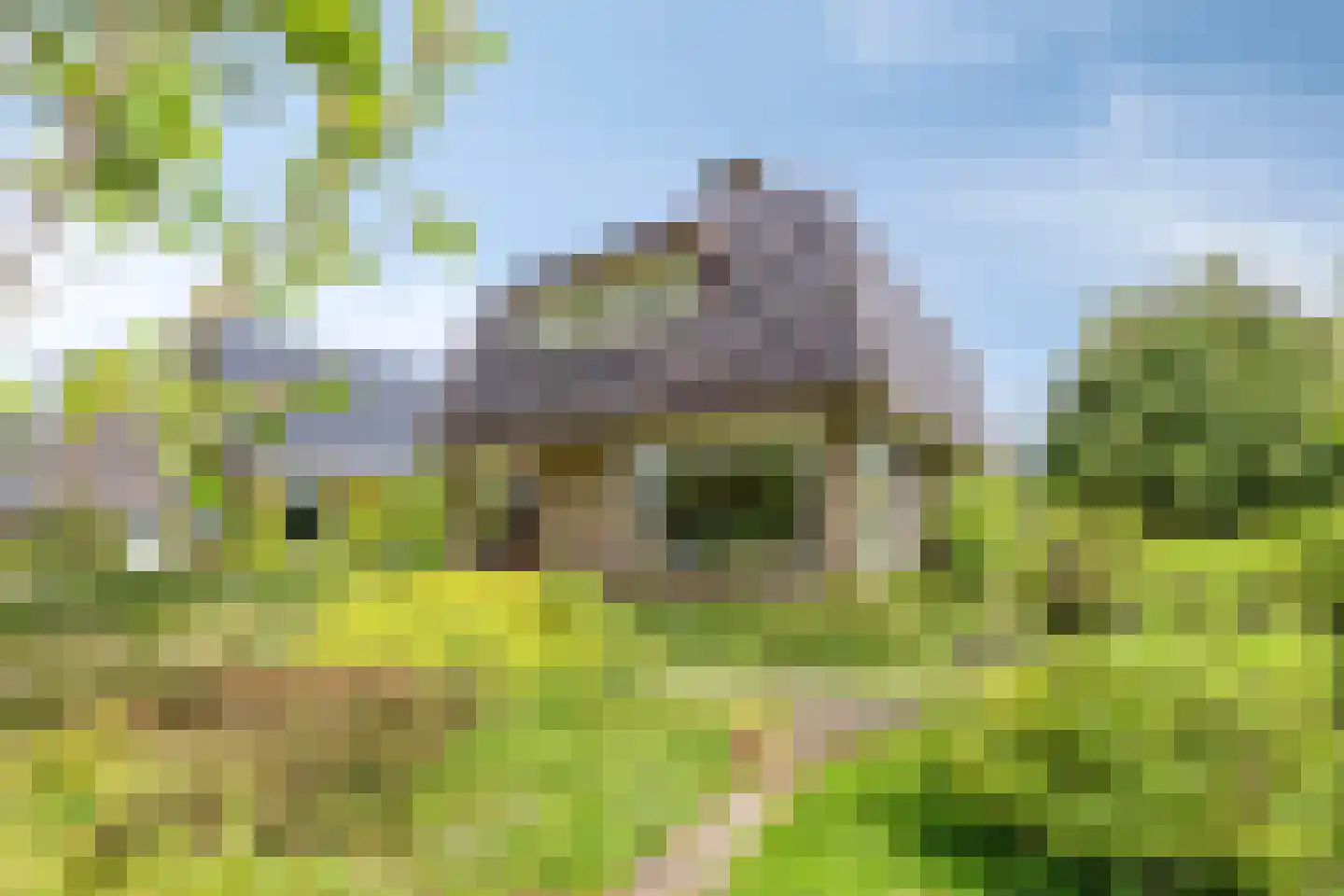 Miedloane 2 De Westereen thumbnail 43