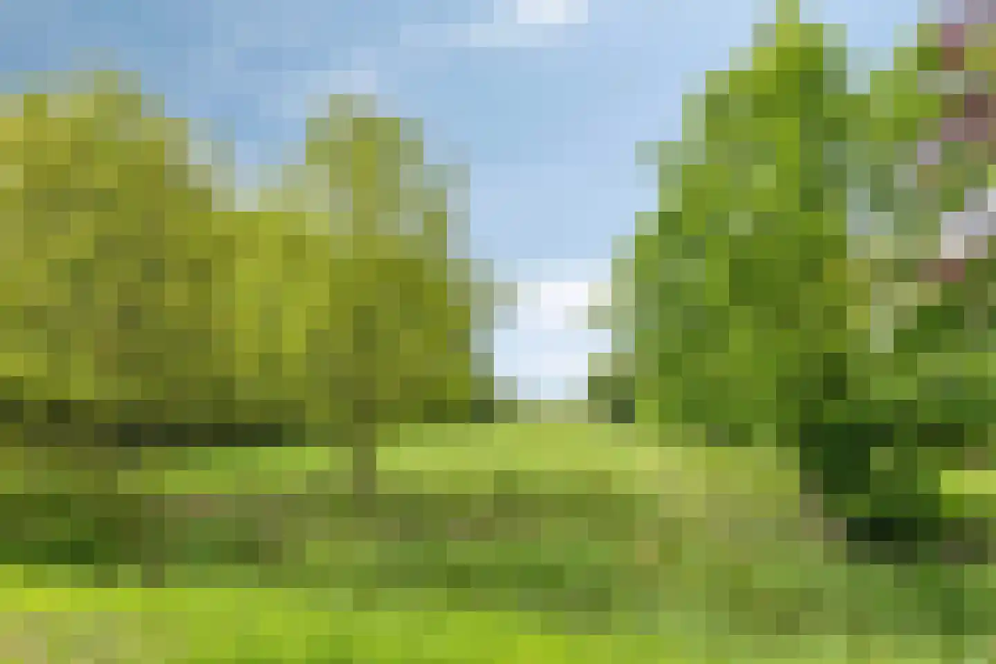 Miedloane 2 De Westereen thumbnail 5