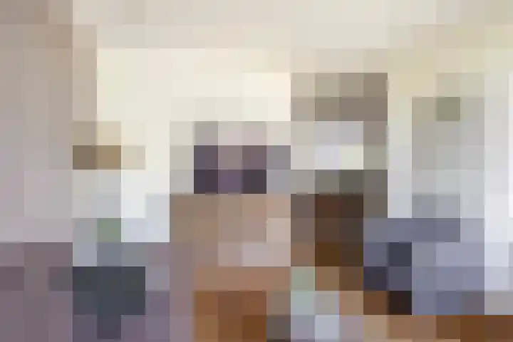 Miedloane 5 De Westereen thumbnail 14