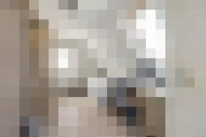 Miedloane 5 De Westereen thumbnail 23