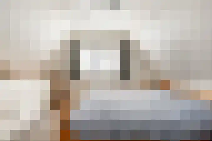 Miedloane 5 De Westereen thumbnail 29