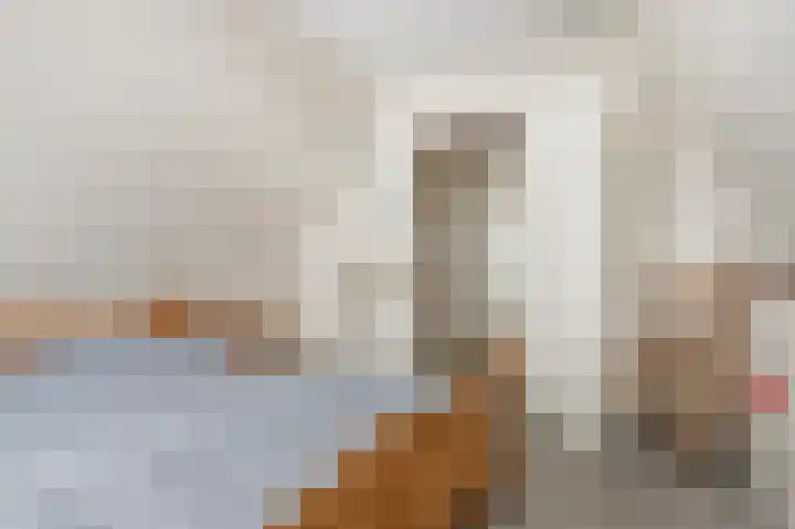Miedloane 5 De Westereen thumbnail 30