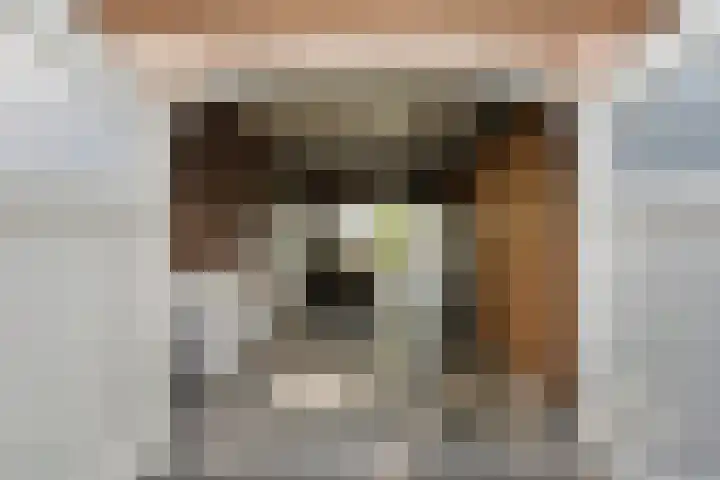 Miedloane 5 De Westereen thumbnail 33
