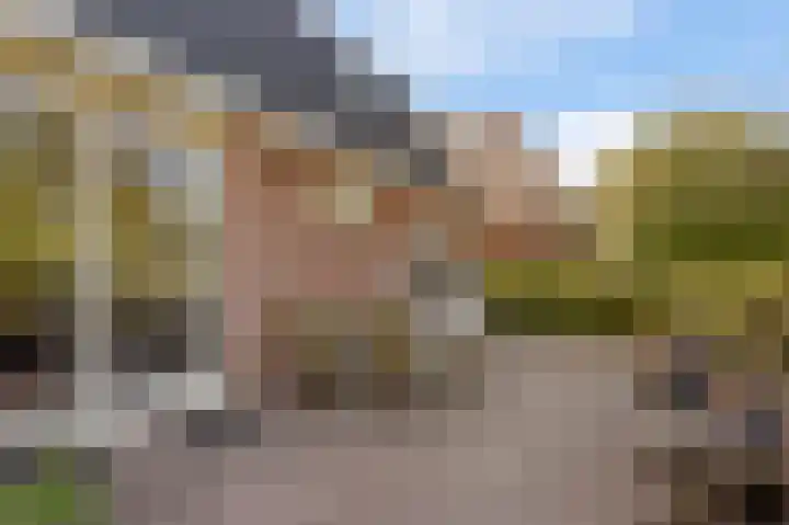 Miedloane 5 De Westereen thumbnail 36