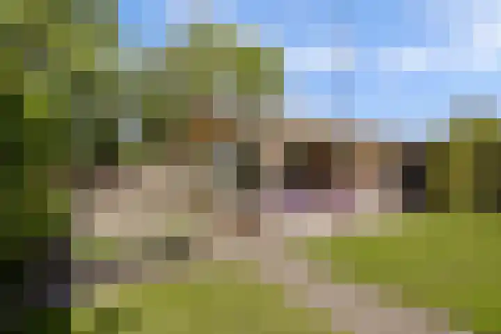 Miedloane 5 De Westereen thumbnail 37