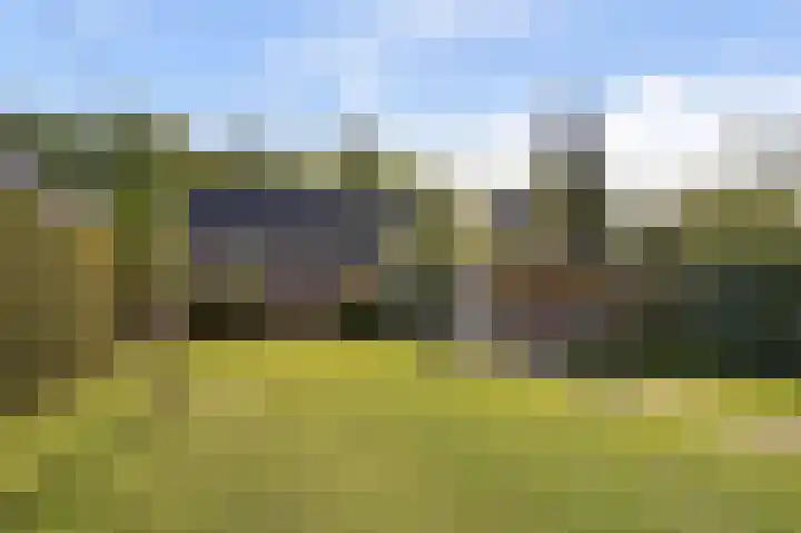 Miedloane 5 De Westereen thumbnail 38