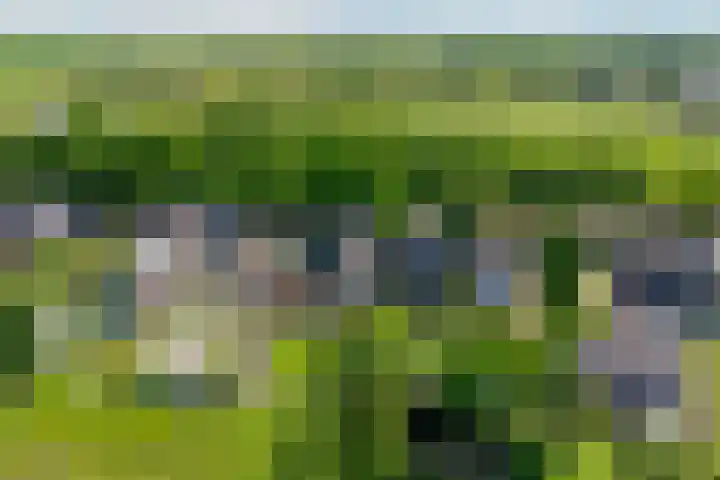 Miedloane 5 De Westereen thumbnail 41
