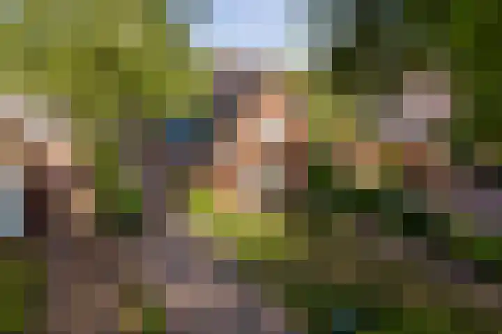Miedloane 5 De Westereen thumbnail 42