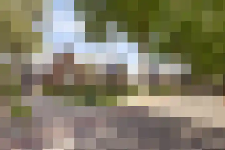 Miedloane 5 De Westereen thumbnail 43