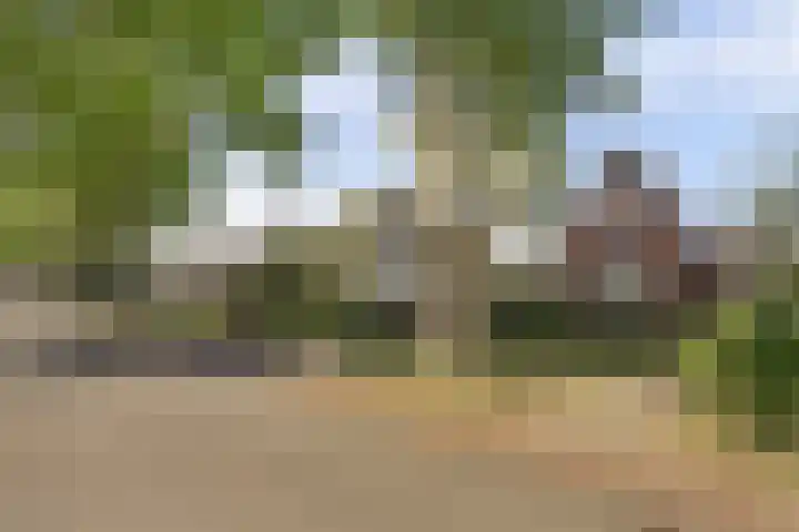 Miedloane 5 De Westereen thumbnail 44