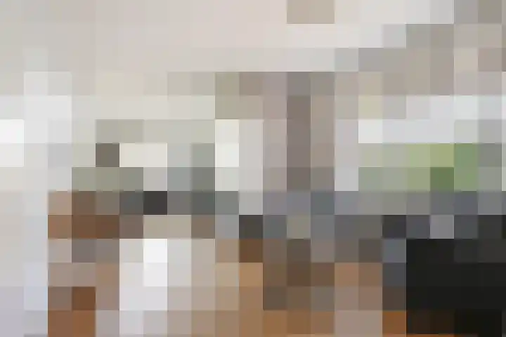 Miedloane 5 De Westereen thumbnail 9