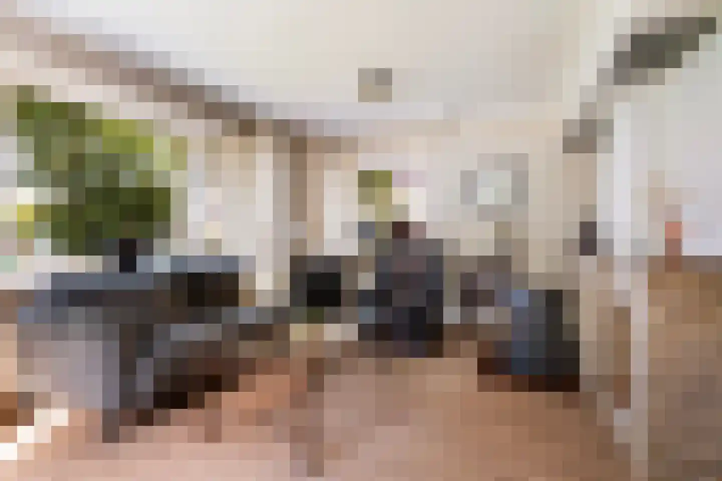 Miedloane 6 De Westereen thumbnail 15