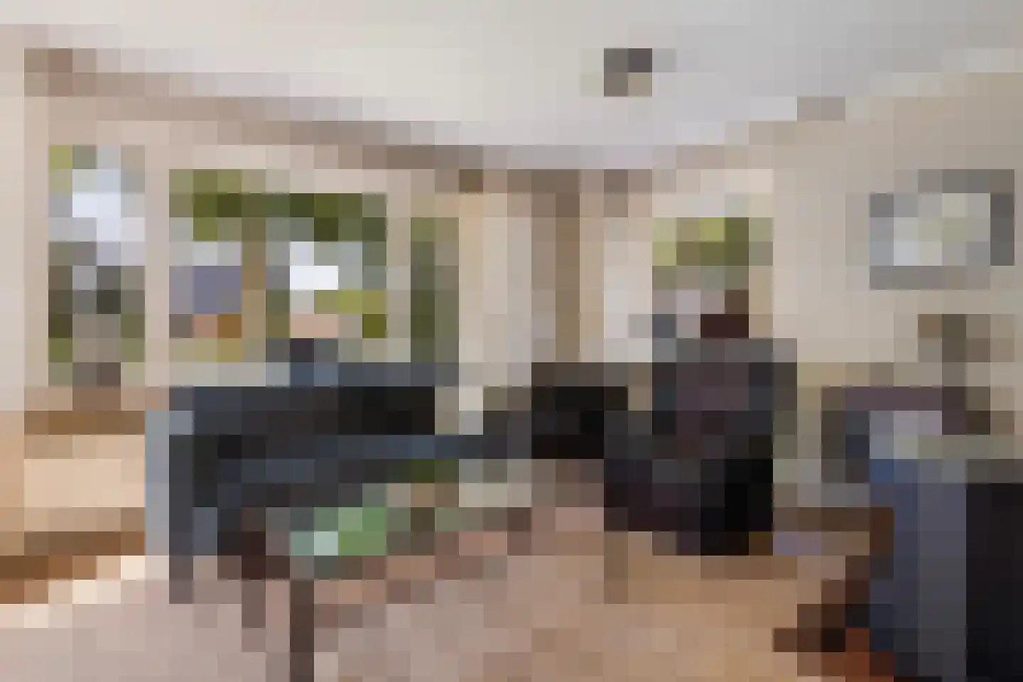 Miedloane 6 De Westereen thumbnail 17