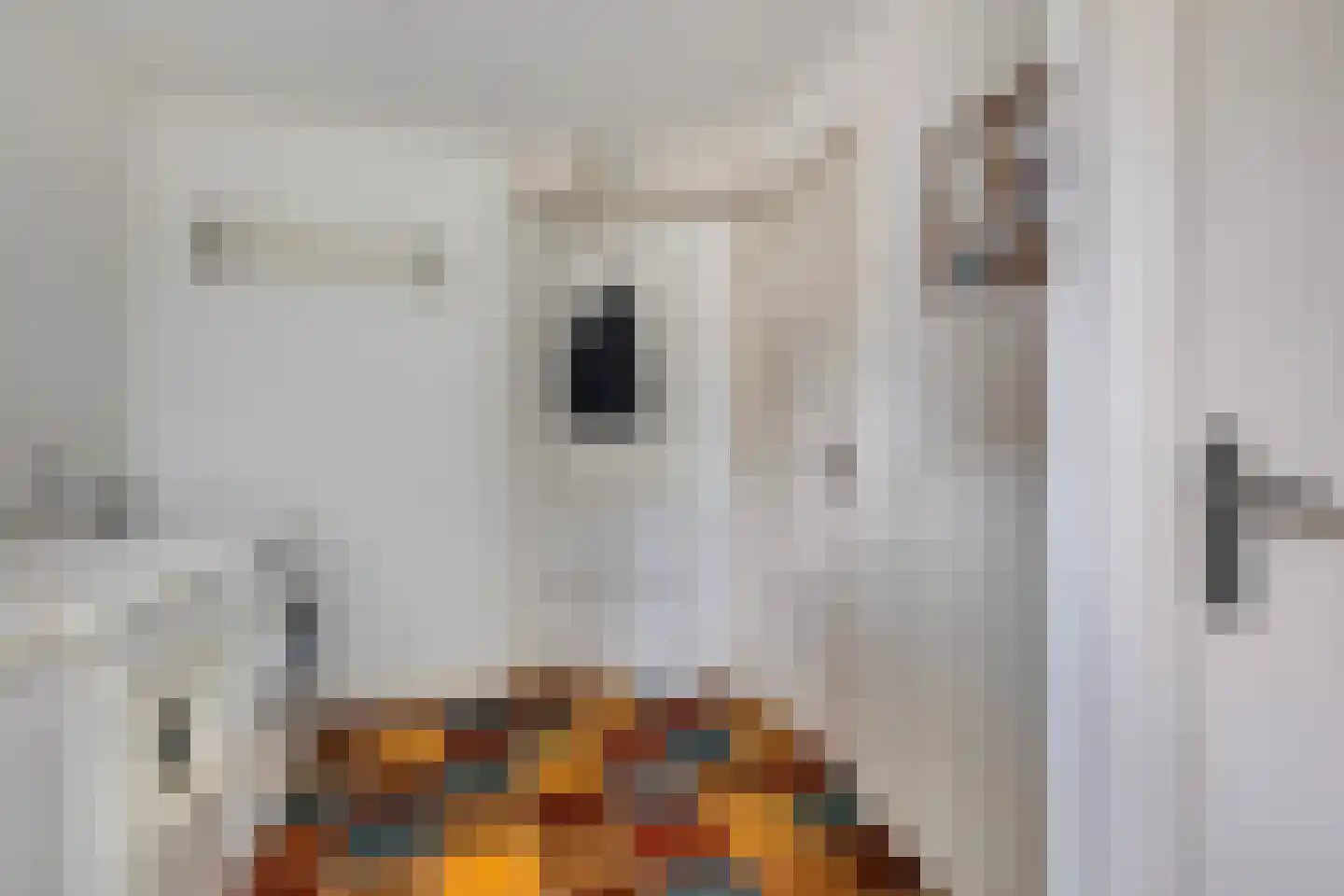 Miedloane 6 De Westereen thumbnail 22