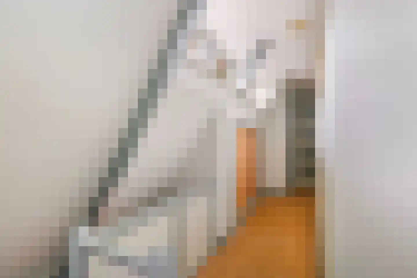 Miedloane 6 De Westereen thumbnail 27