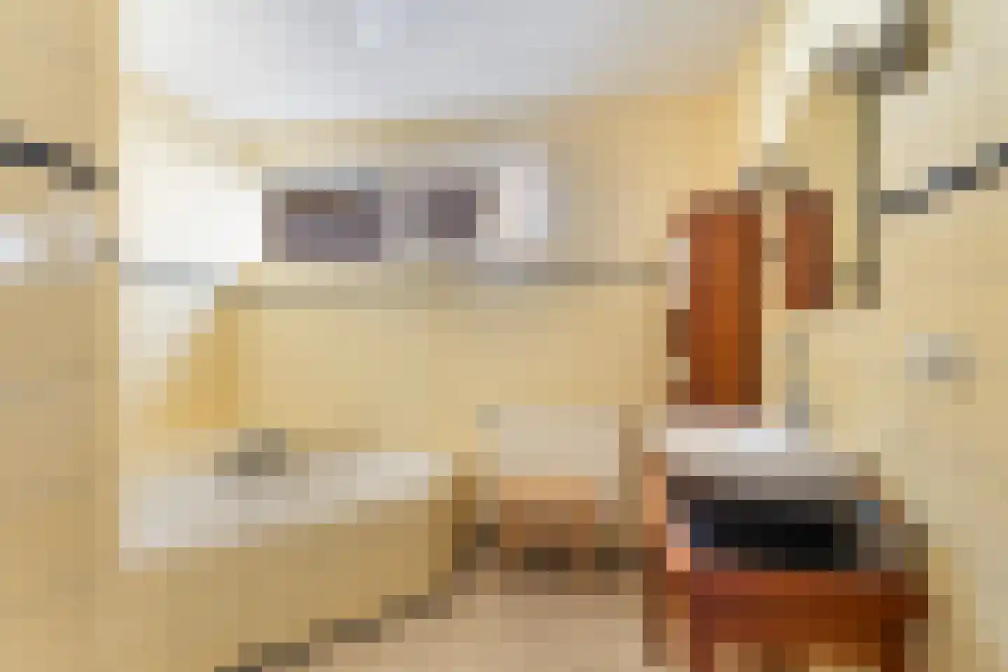 Miedloane 6 De Westereen thumbnail 32
