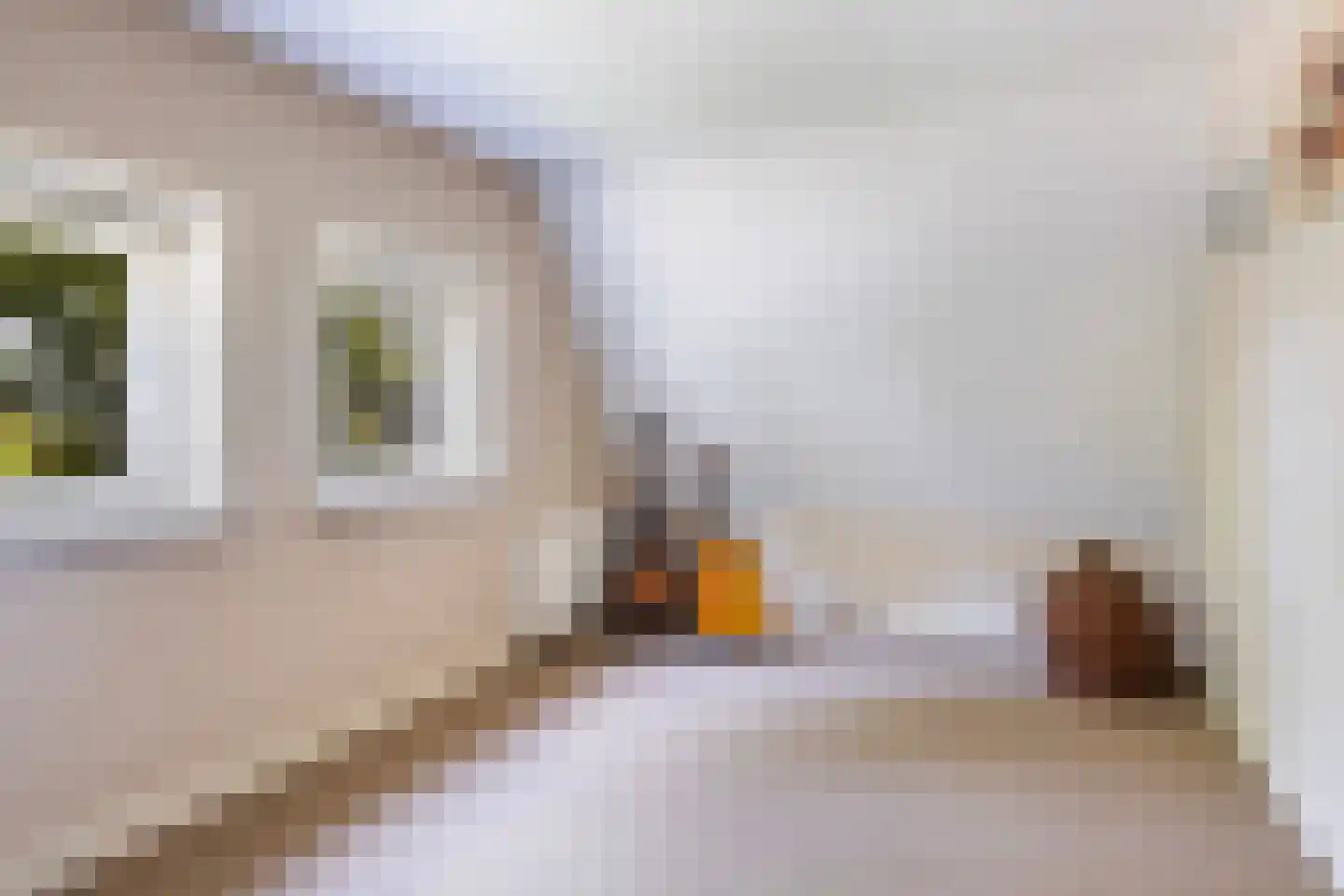 Miedloane 6 De Westereen thumbnail 38