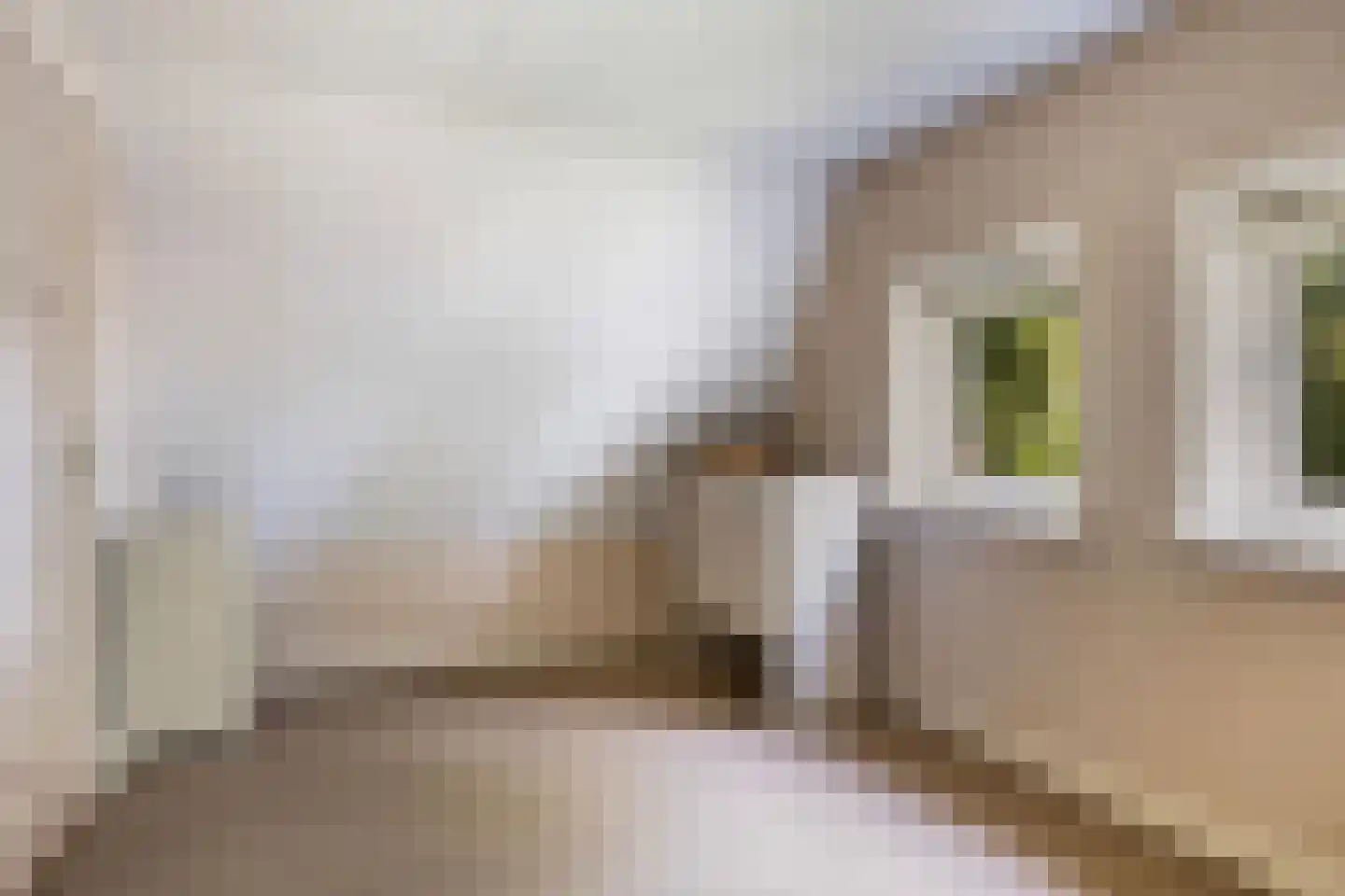 Miedloane 6 De Westereen thumbnail 39
