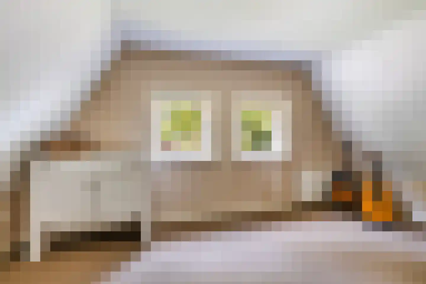 Miedloane 6 De Westereen thumbnail 40