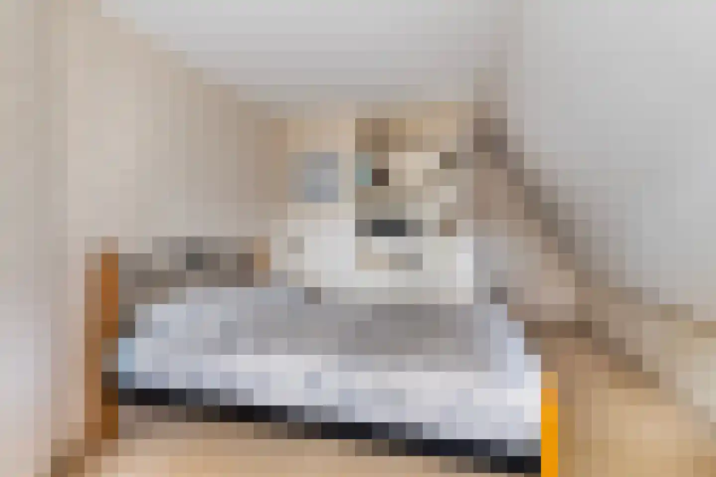 Miedloane 6 De Westereen thumbnail 41