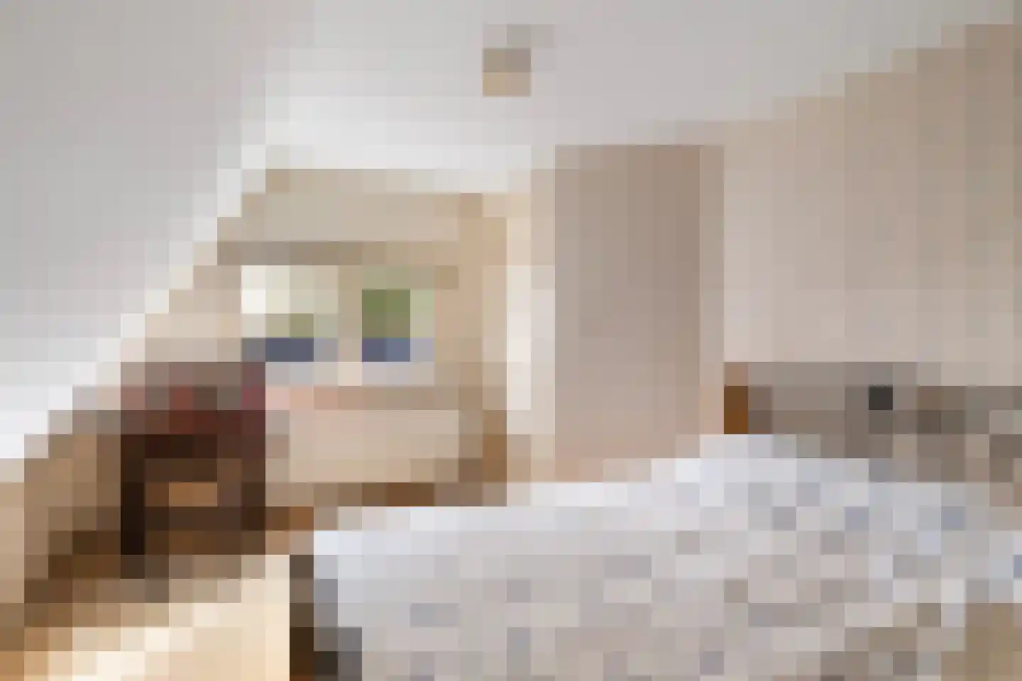 Miedloane 6 De Westereen thumbnail 42