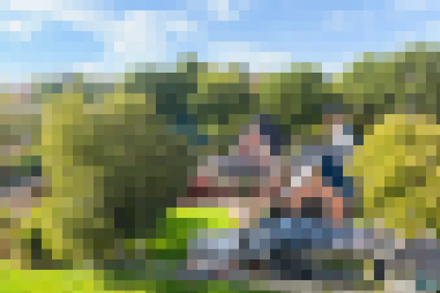Miedloane 6 De Westereen thumbnail 46