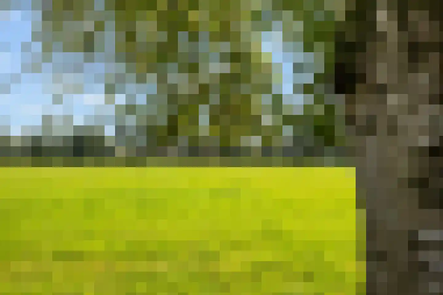 Miedloane 6 De Westereen thumbnail 48